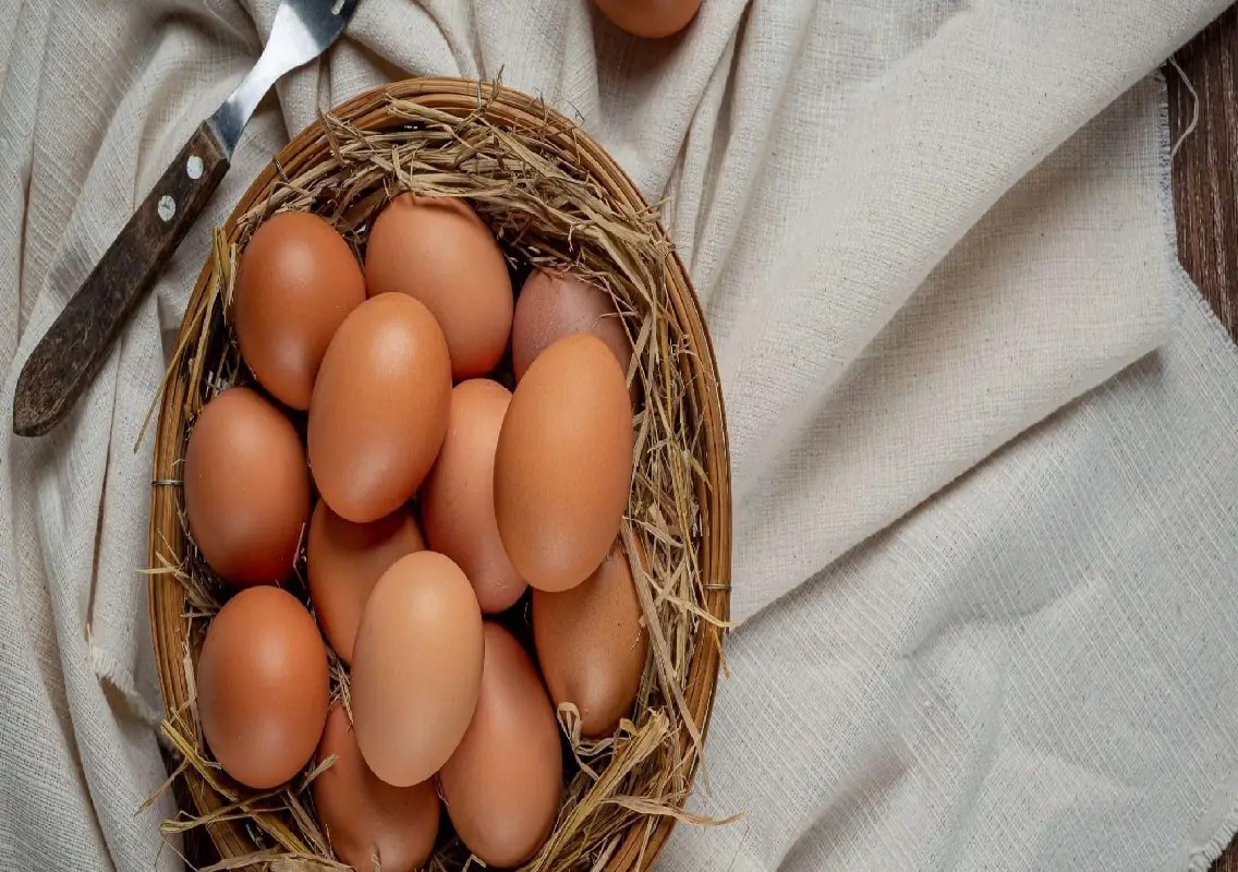 Salmonella outbreak linked to recalled eggs sickens 98 across 17 US states - News Karnataka