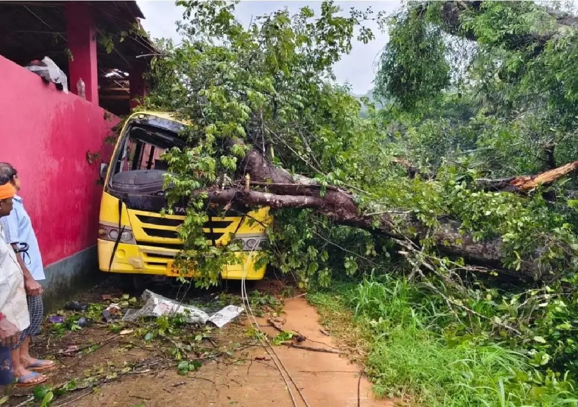 School management booked after Barimar tree fall tragedy - News Karnataka