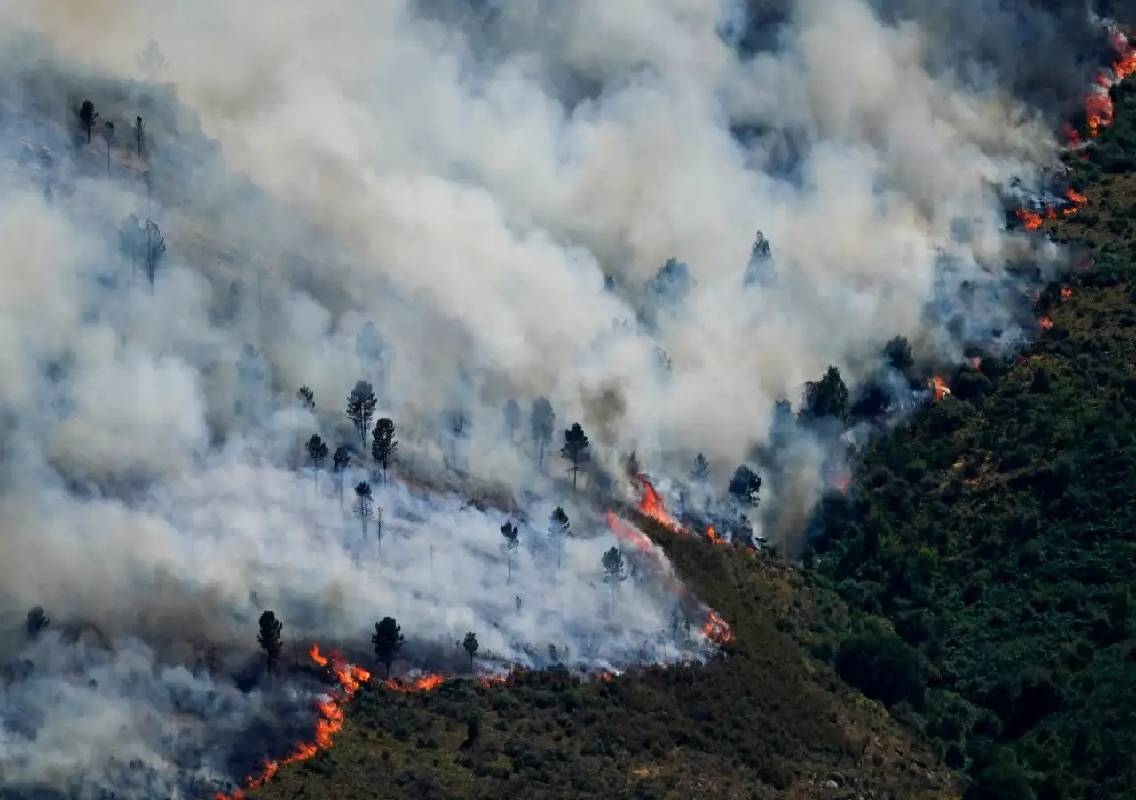 Spain declares national emergency over wildfires - News Karnataka