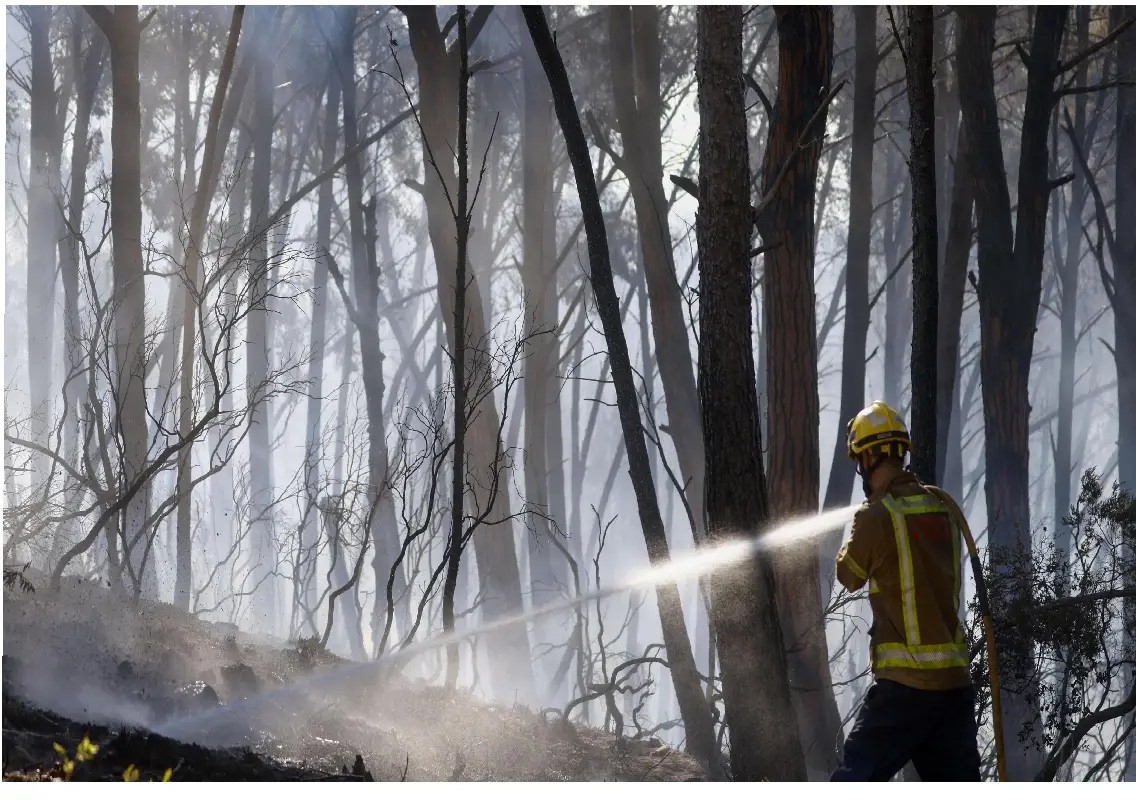 Spain wildfire kills 11 as firefighters battle fast-spreading blaze - News Karnataka