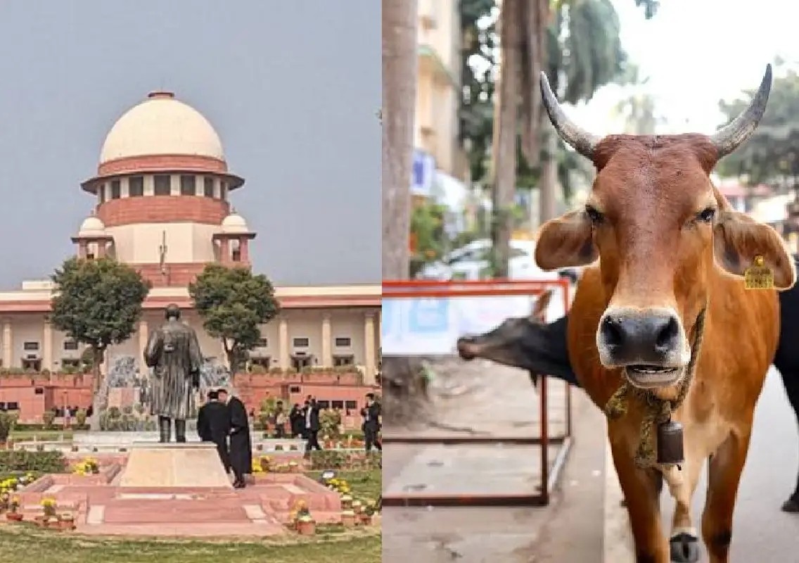 Supreme Court stays Madras HC's cow slaughter ban in Tamil Nadu - News Karnataka