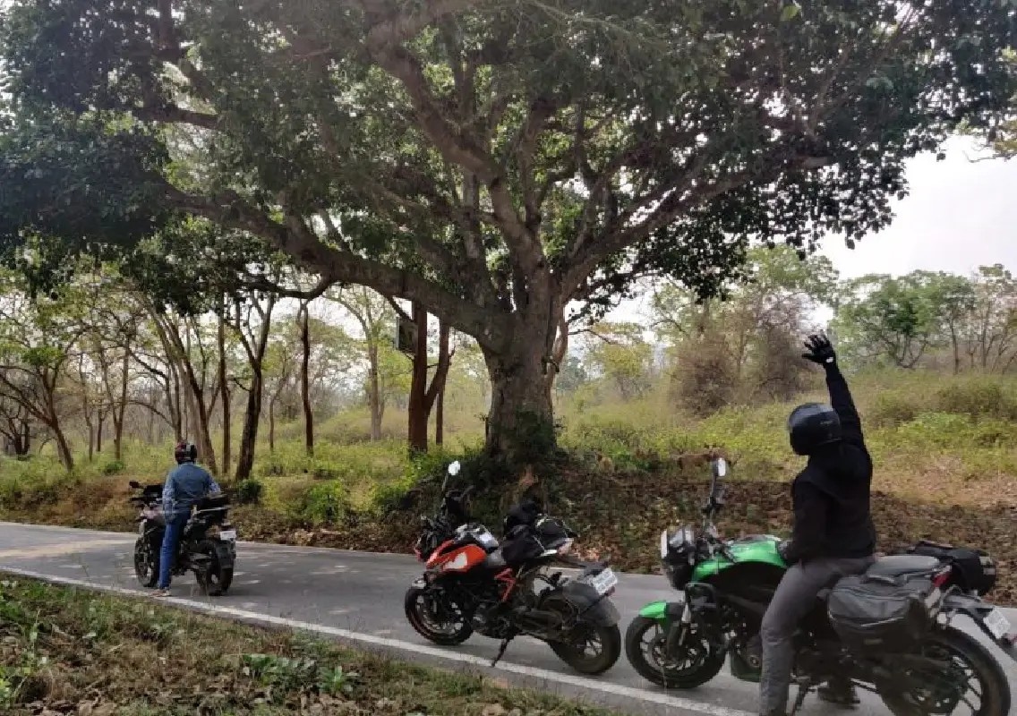 Tamil Nadu bikers caught riding through Bandipur safari route - News Karnataka