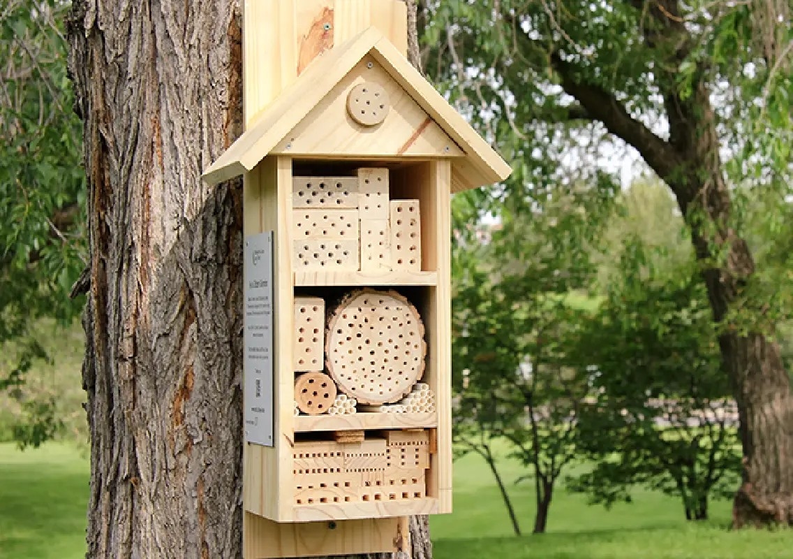 Tiny bee hotels offer big hope for saving wild pollinators - News Karnataka