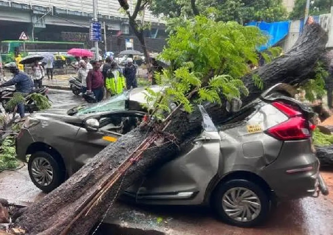 Uprooted tree crushes parked car amid heavy rain, no injuries reported - News Karnataka