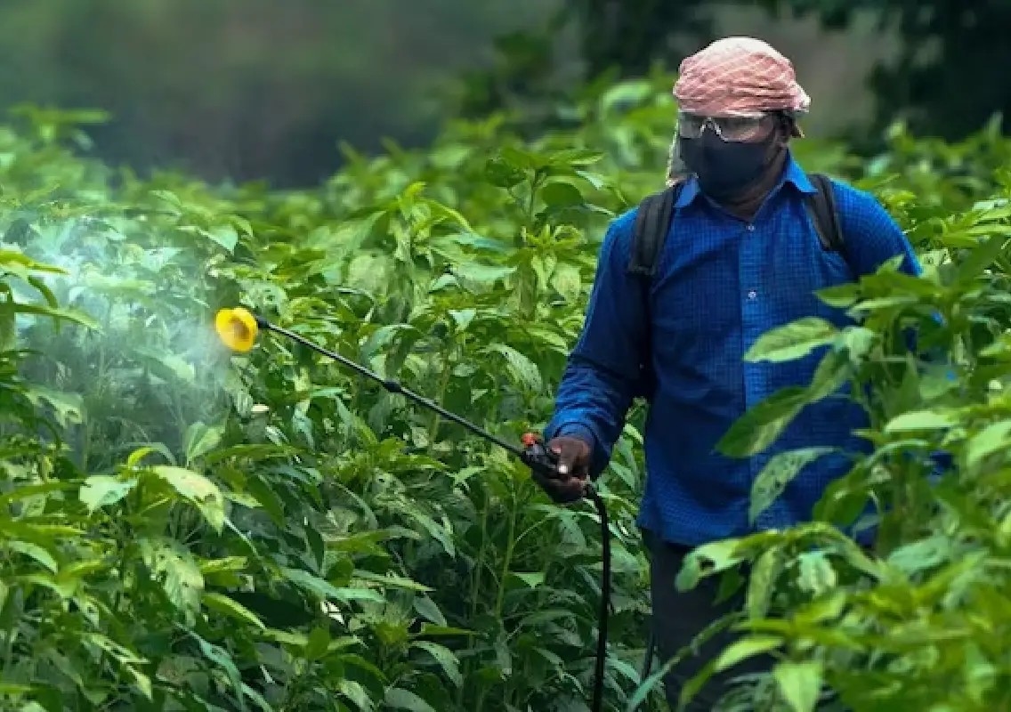 Why banned pesticides abroad are still used on Indian farms - News Karnataka