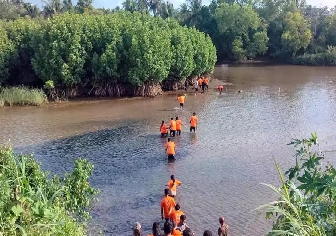 3,000 mangrove saplings planted along Nethravathi River - News Karnataka