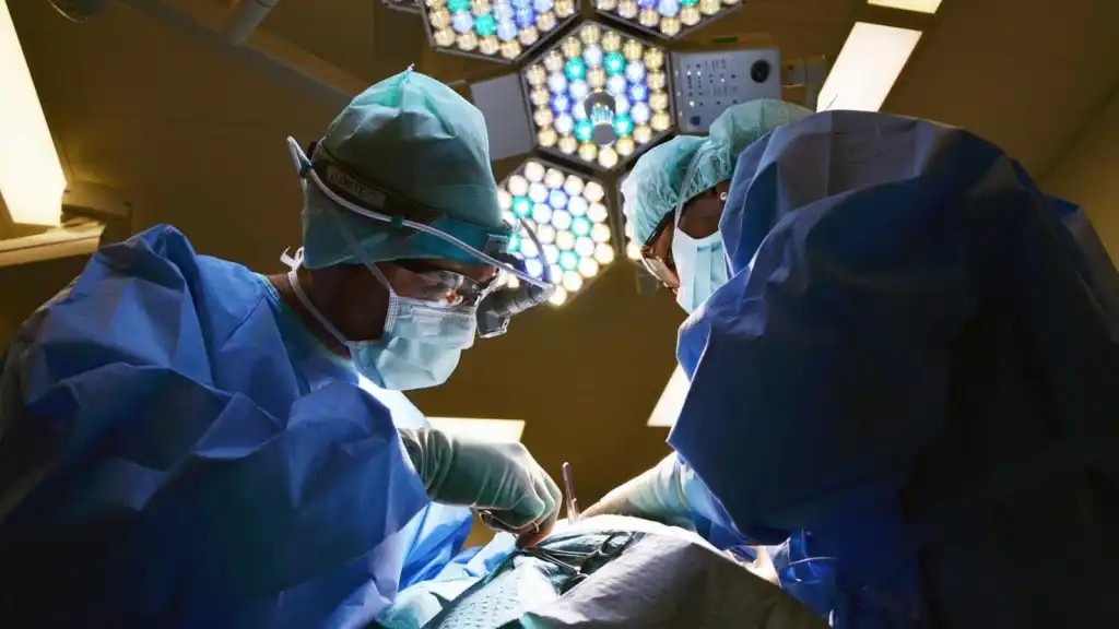 A young life lost, but four others receive a precious second chance - News Karnataka