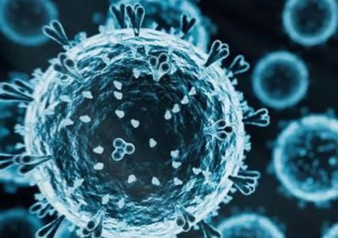 AI enters virus design, raising new hopes and serious questions - News Karnataka