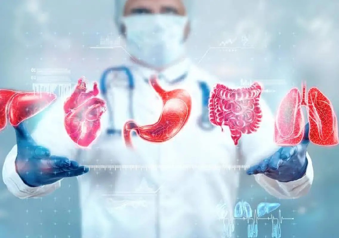 AI reveals how different organs age at different speeds - News Karnataka