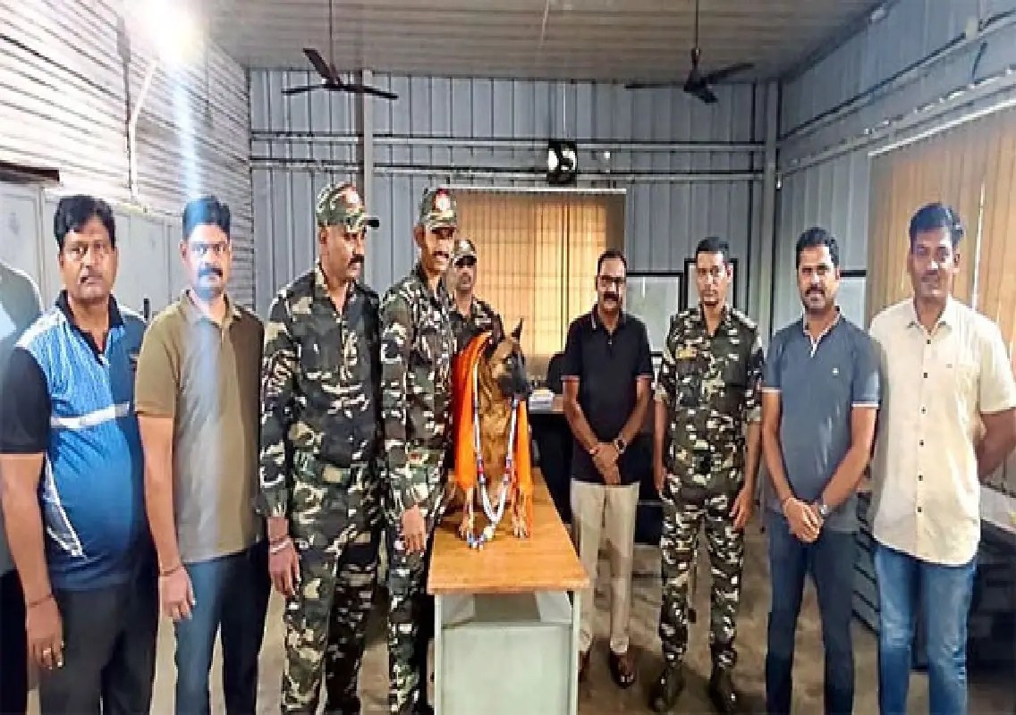 ANF sniffer dog Alchi retires after eight years of distinguished service - News Karnataka
