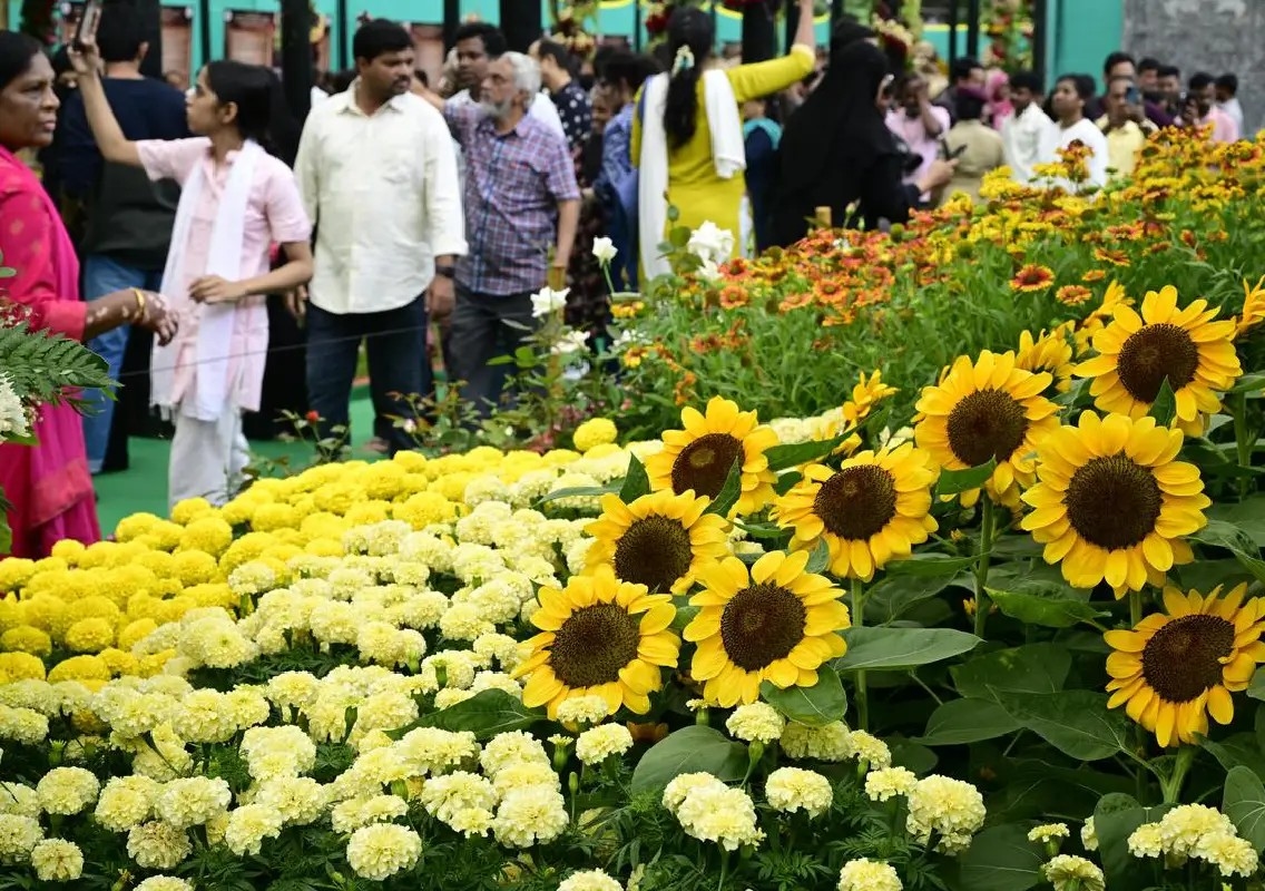 Bengaluru to get three new Lalbagh-style parks, says DK Shivakumar - News Karnataka