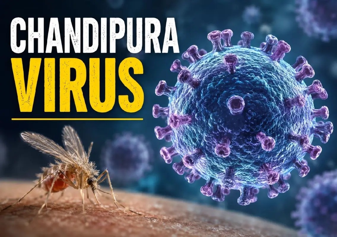 Chandipura virus :Symptoms, spread and prevention explained - News Karnataka