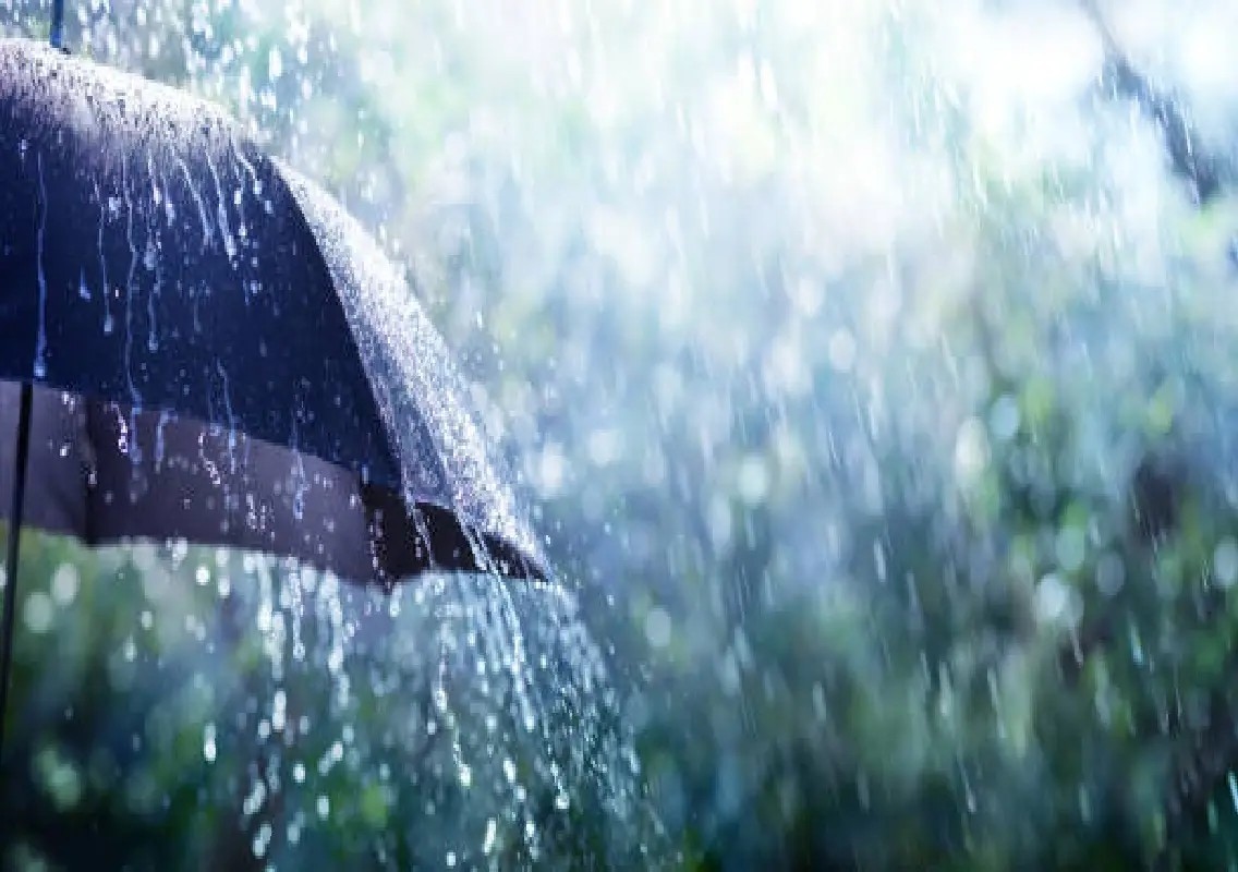 Coastal Karnataka monsoon sees sharp recovery after August rains - News Karnataka