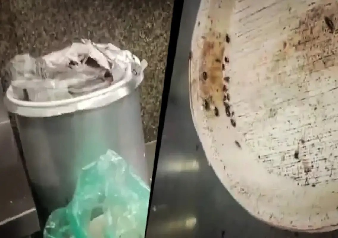 Cockroaches found on food plates at Karnataka Assembly canteen: WATCH - News Karnataka