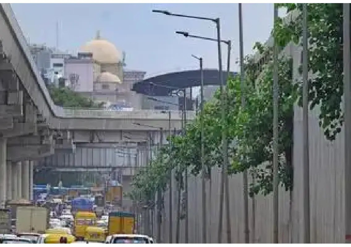 Creepers on Bengaluru flyovers raise fresh maintenance concerns - News Karnataka