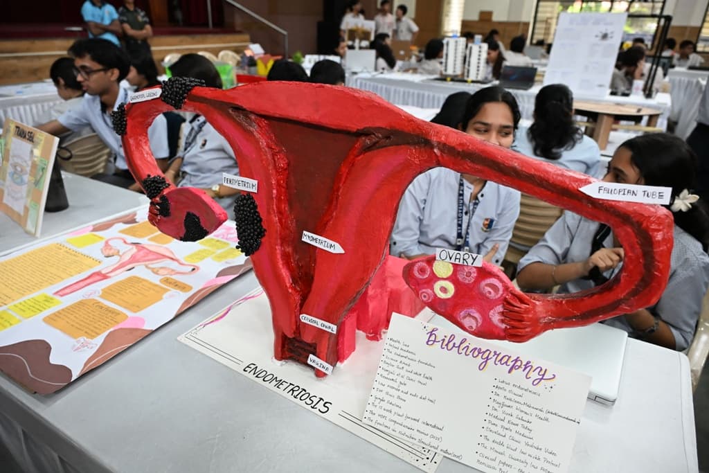 Gallery image 7