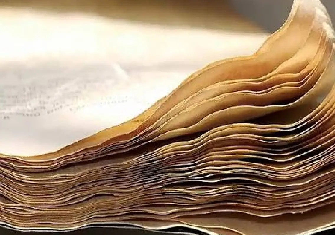 Document damage dispute turns violent at Puttur digital centre - News Karnataka