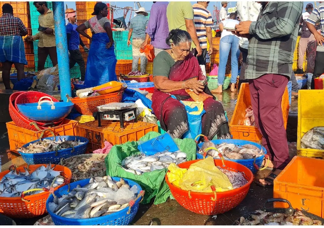Early morning bustle brings Dakke Fish Market to life - News Karnataka