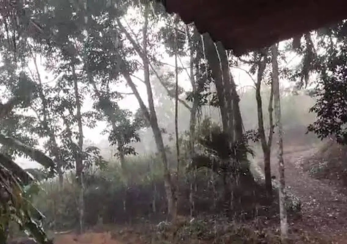 Early morning showers bring relief to coastal Karnataka - News Karnataka