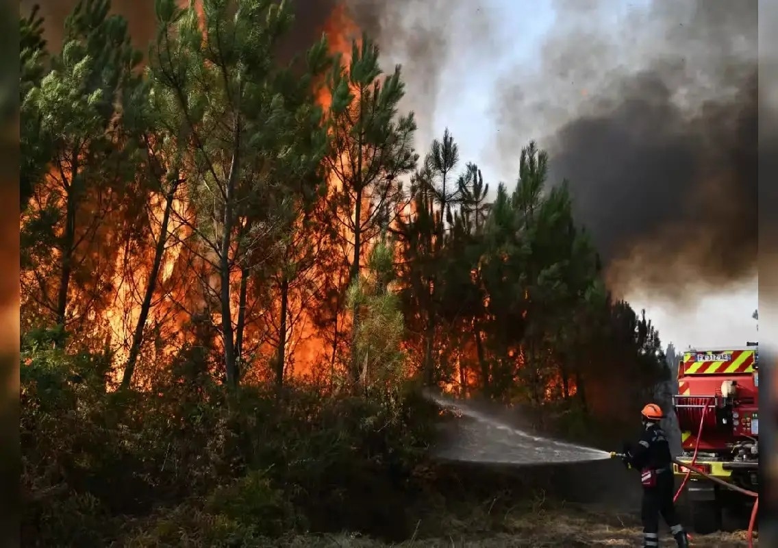 France's rare fire cloud raises questions over India's wildfire risks - News Karnataka