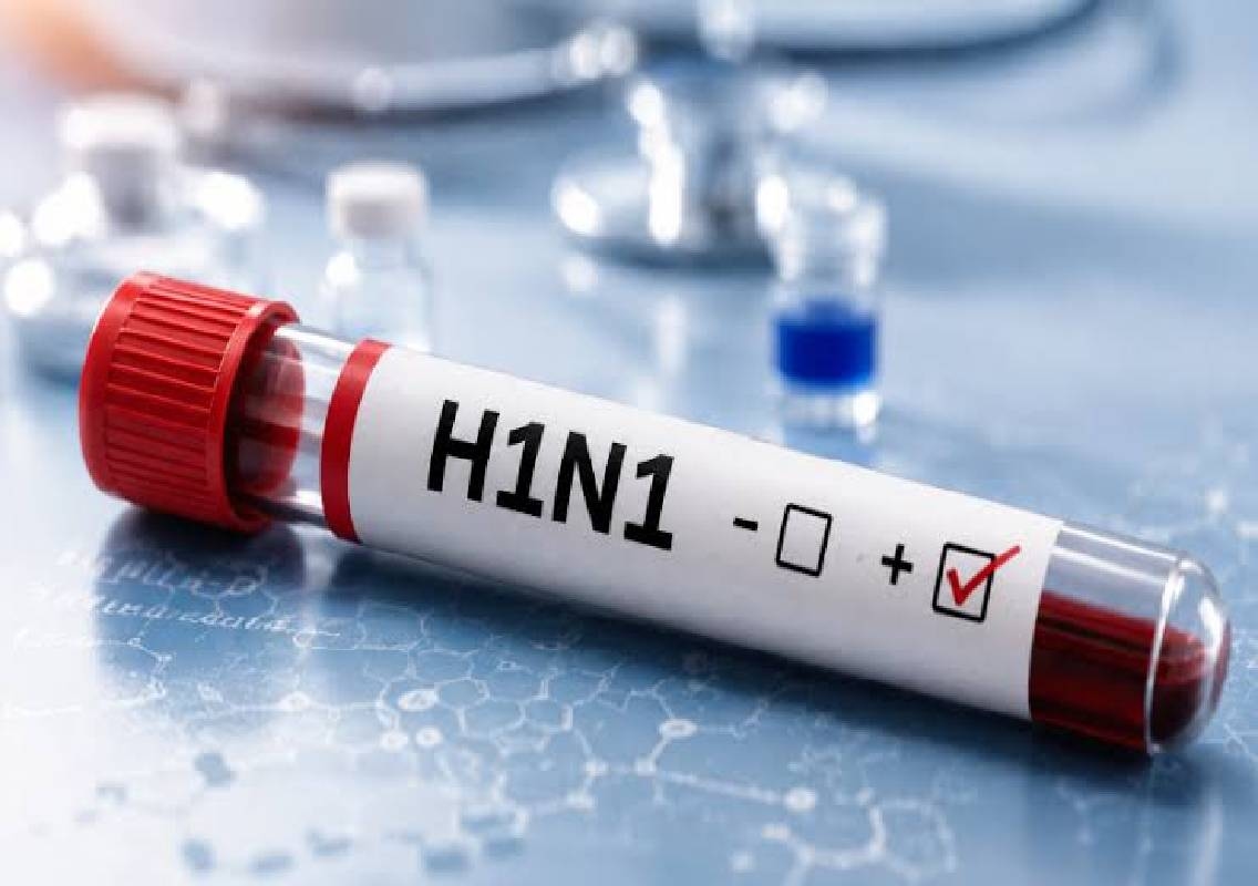 Udupi H1N1 Cases Rise, Precautions Advised - News Karnataka