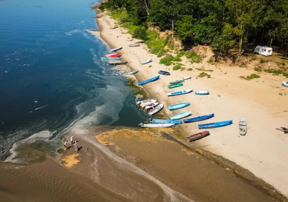 Historic drought leaves the Danube struggling for water and life - News Karnataka