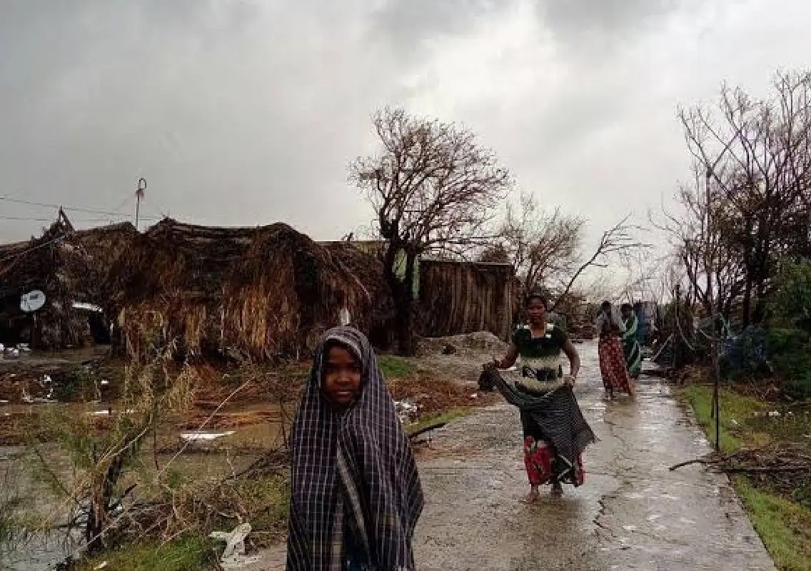 How one Tamil Nadu village is fighting climate threats with nature - News Karnataka