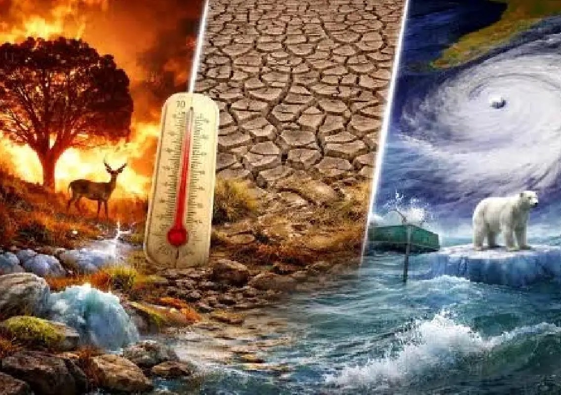 How poetry is giving climate change a more human voice - News Karnataka