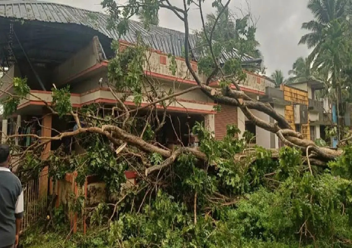 Huge tree crashes onto house in Puthige, family suffers heavy loss - News Karnataka