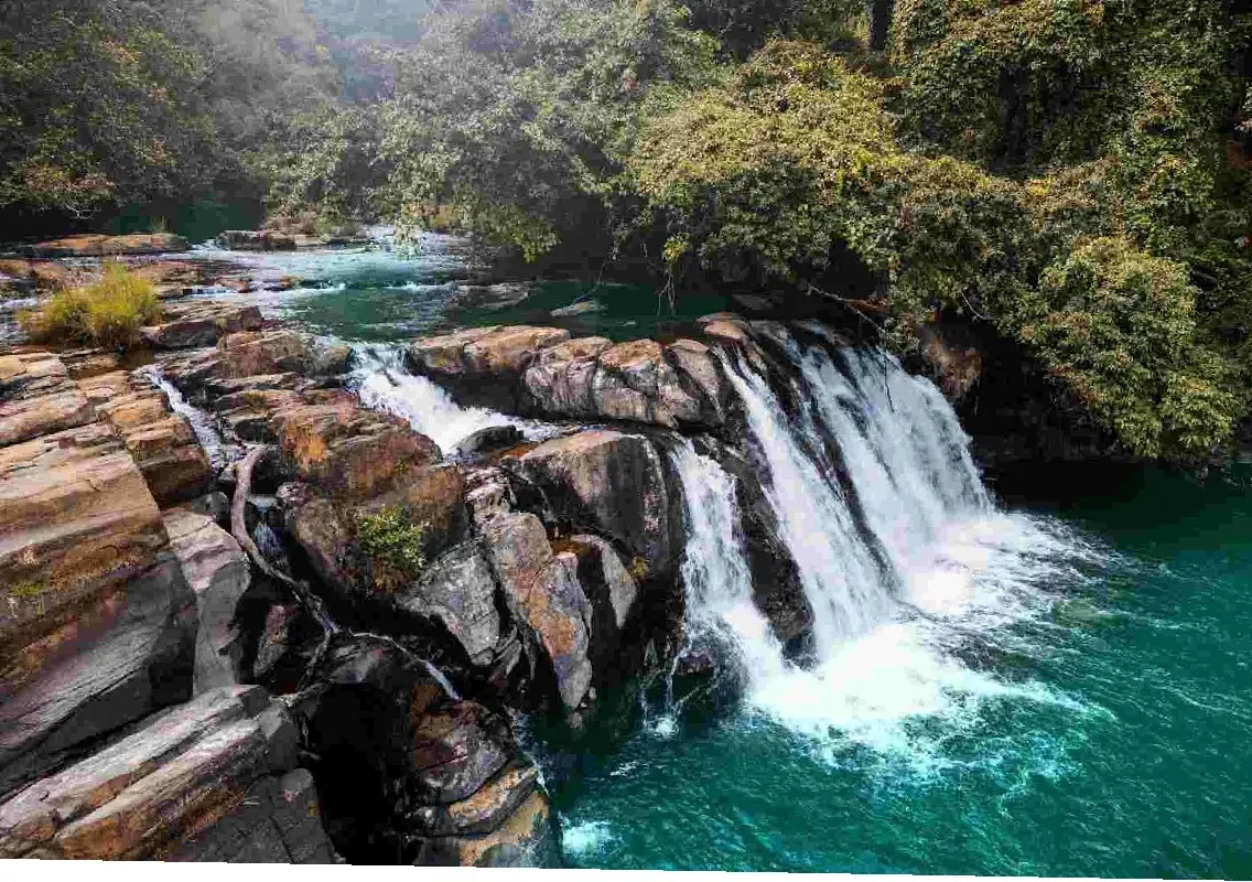 Karnataka Tourism wins top nature tourism honour at IITM 2026 - News Karnataka