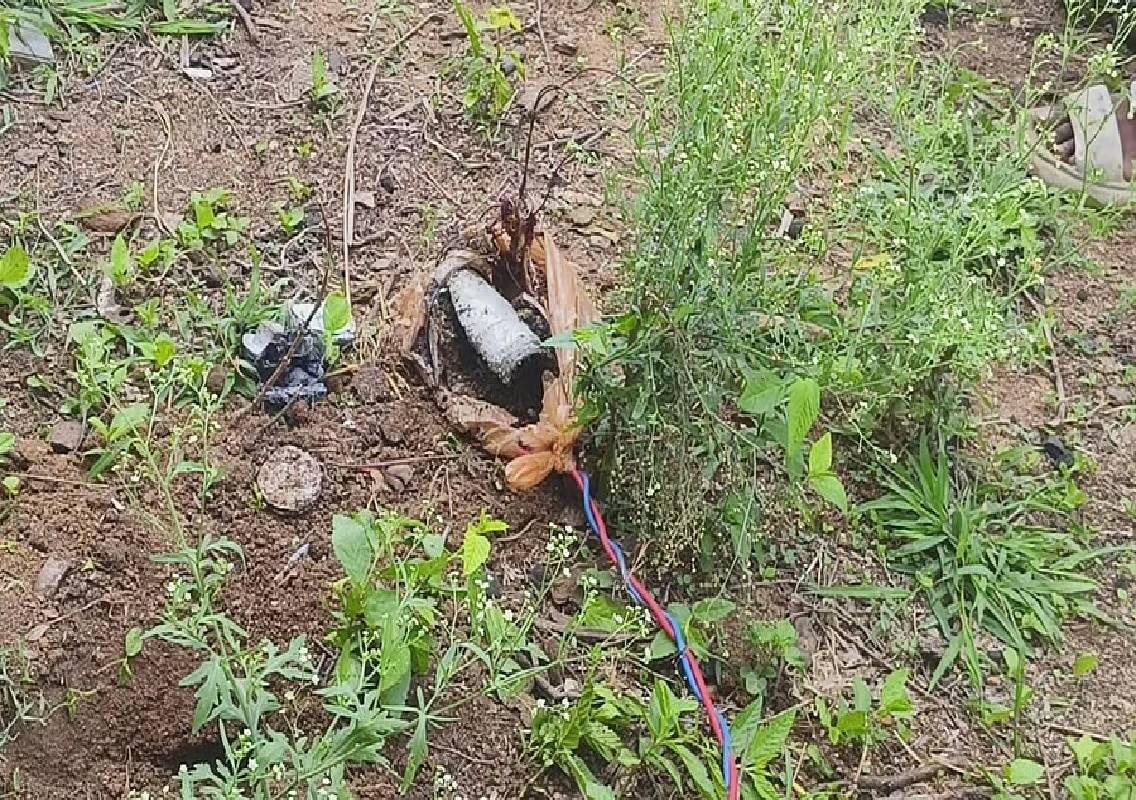 Karnataka Field Blast: Country-Made Bomb Explodes - News Karnataka