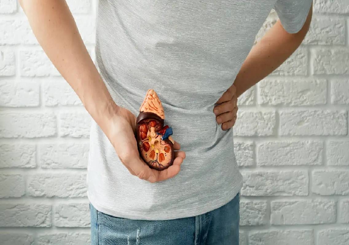 Kidney health after 40: Warning signs for men - News Karnataka