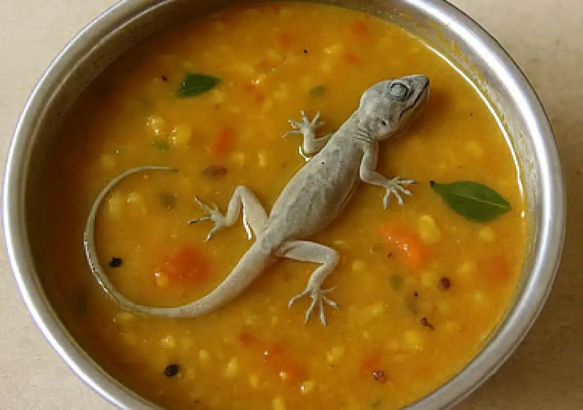 Lizard found in sambar served to school students in Tamil Nadu - News Karnataka