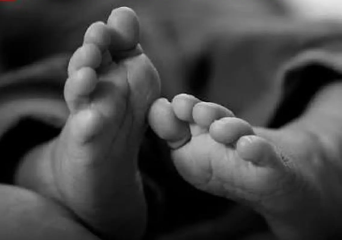 Malda hospital reports at least 70 infant deaths in August - News Karnataka