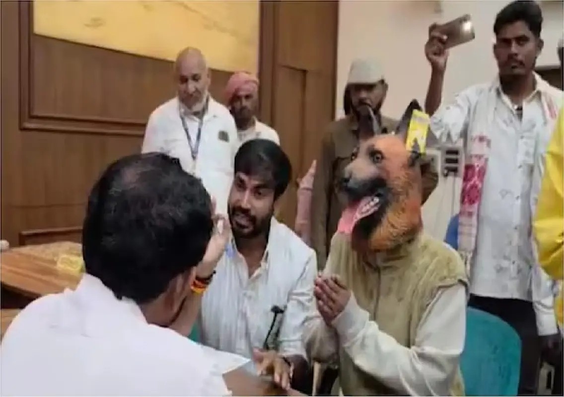Man in dog mask stages protest over Khandwa sterilisation drive: WATCH - News Karnataka
