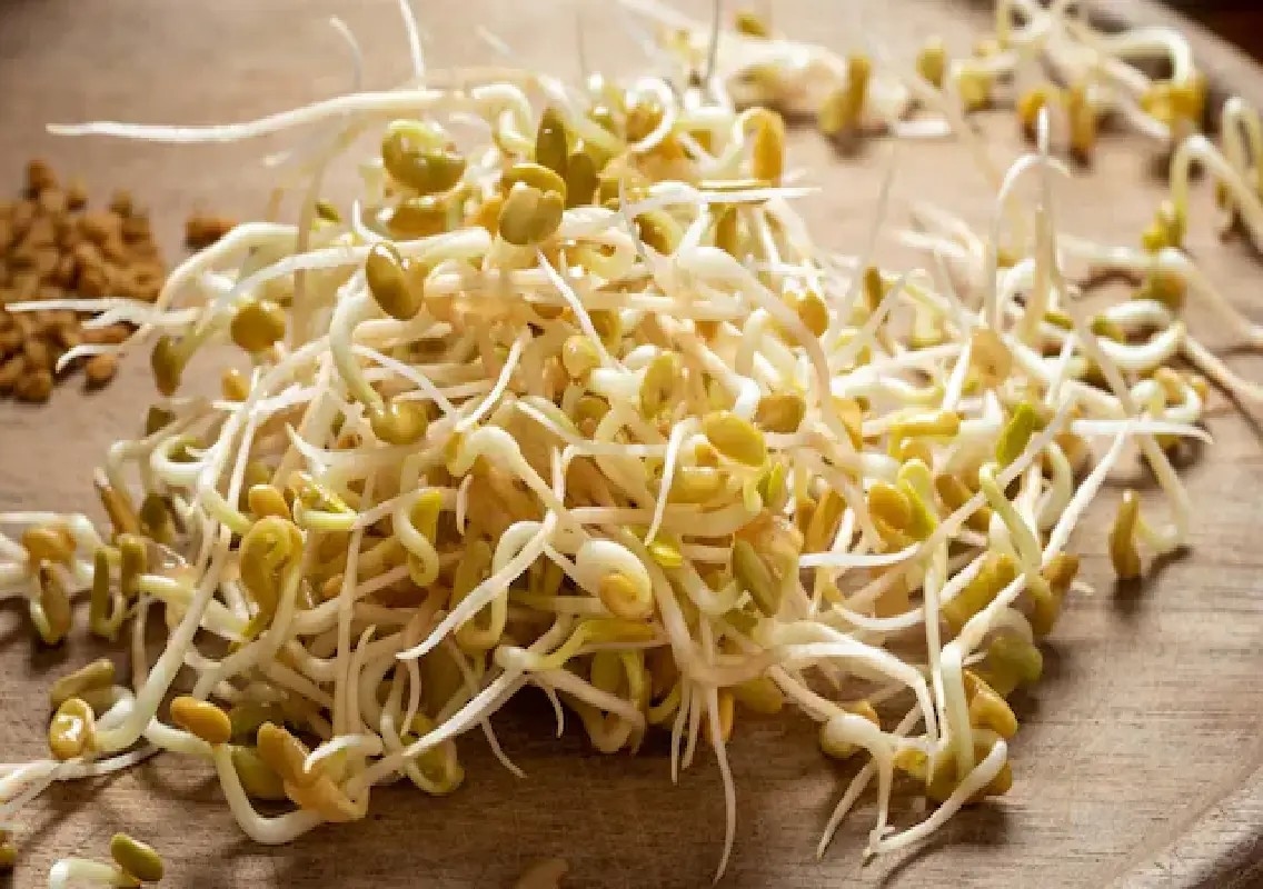 Minnesota warns against alfalfa sprouts linked to 41 illnesses - News Karnataka