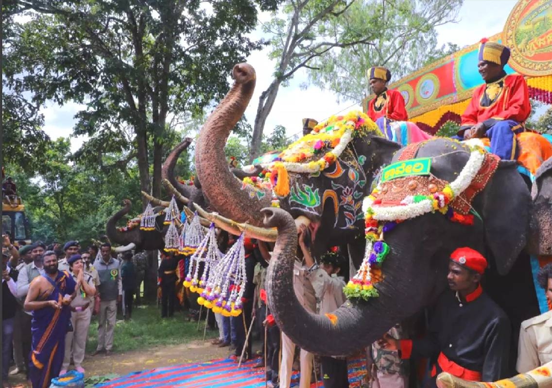 Mysuru Dasara 2026: 9 elephants begin Gajapayana - News Karnataka