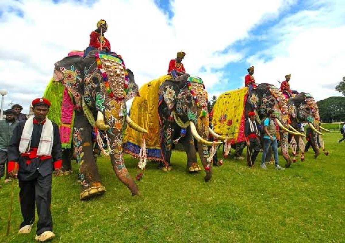 No Ticket to See Mysuru Dasara Elephants - News Karnataka