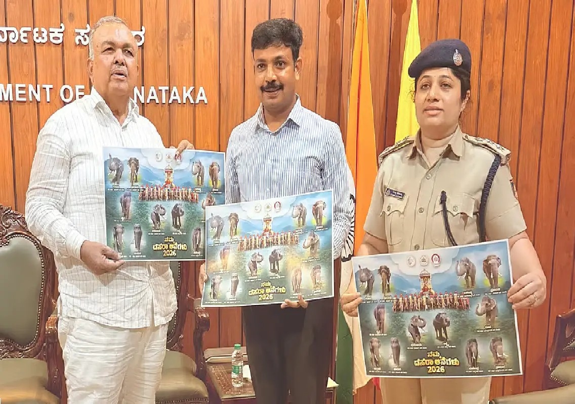 Mysuru Dasara: 12 elephants shortlisted for this year’s festivities - News Karnataka