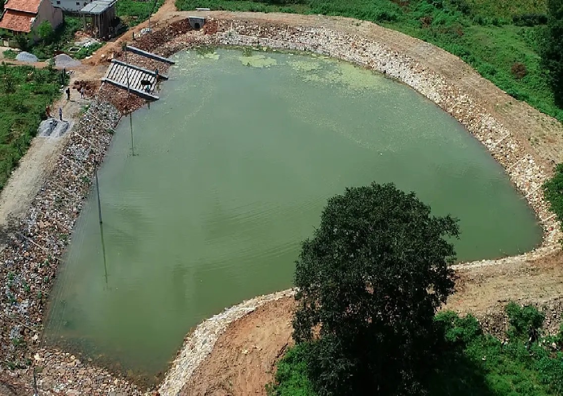 Mysuru ZP to hoist Tricolour at 85 Amrit Sarovar ponds - News Karnataka