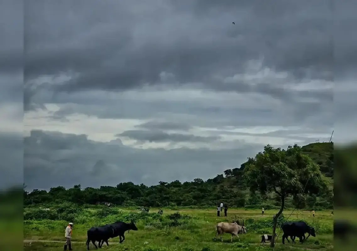 Mysuru faces 58% rainfall deficit amid growing farm stress - News Karnataka