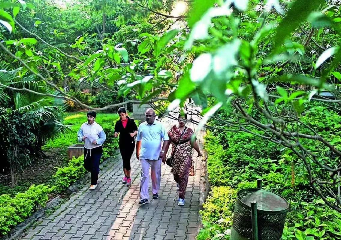 Mysuru groups oppose parks amendment, seek governor's intervention - News Karnataka