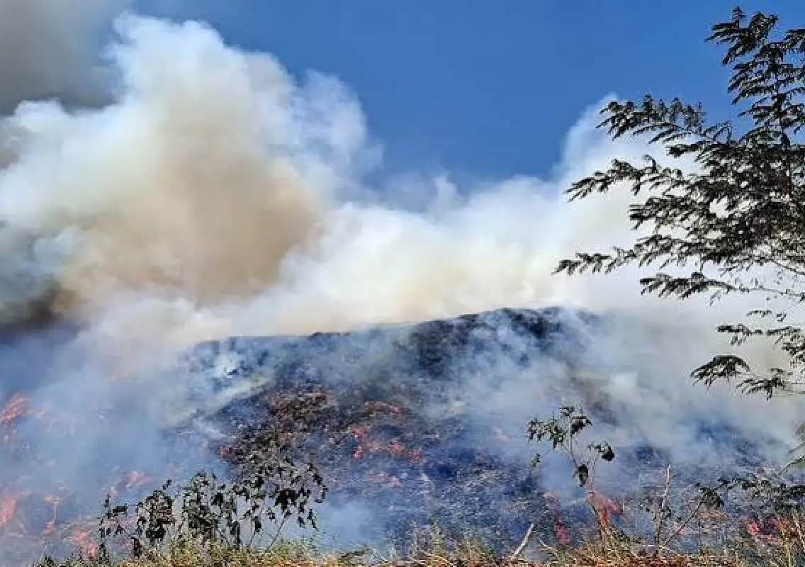 Mysuru outskirts turn into dumping ground as cable fires spread - News Karnataka