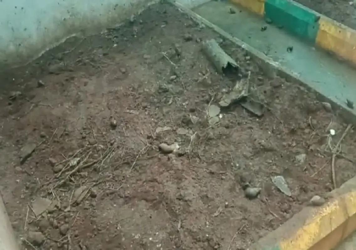 Mysuru researchers promote snail farming as new rural livelihood - News Karnataka