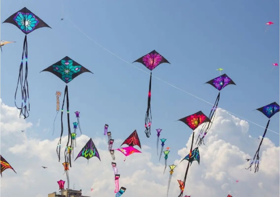 Mysuru skies come alive as hundreds join colourful kite festival: WATCH - News Karnataka