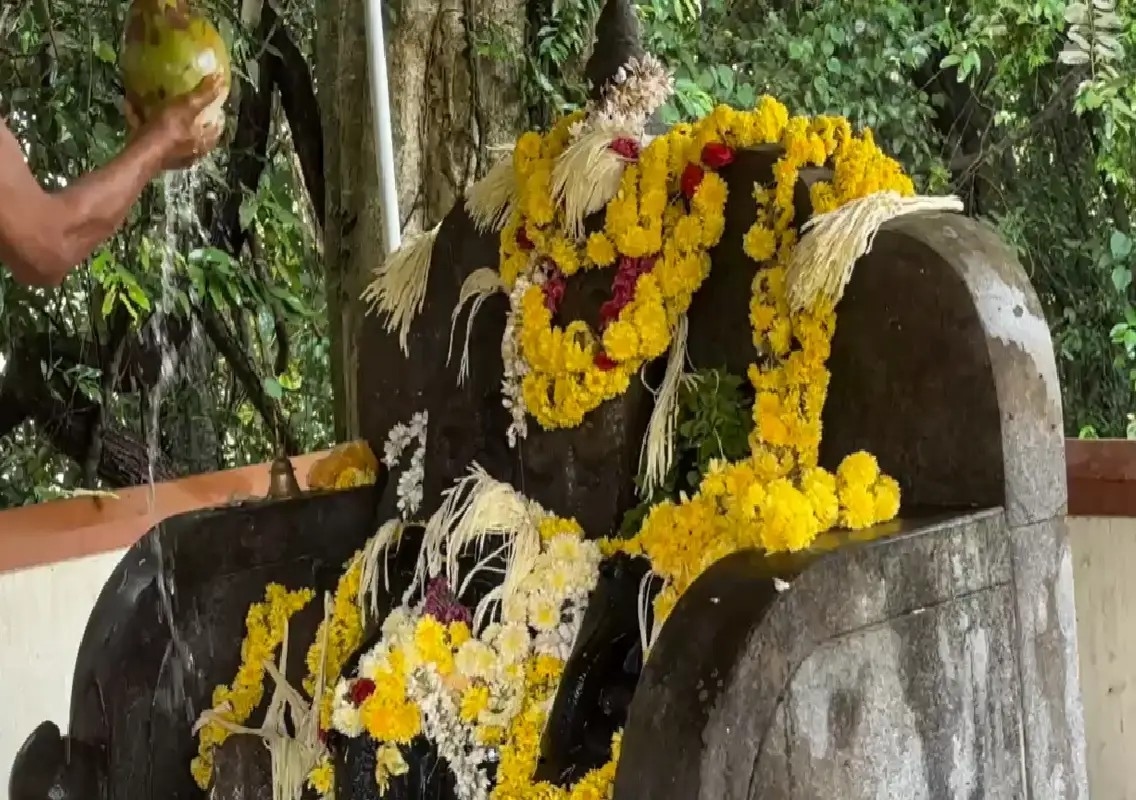 Nagara Panchami celebrated with devotion across Udupi district - News Karnataka