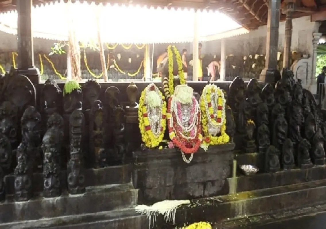 Nagara Panchami celebrated with fervour at Kudupu temple - News Karnataka