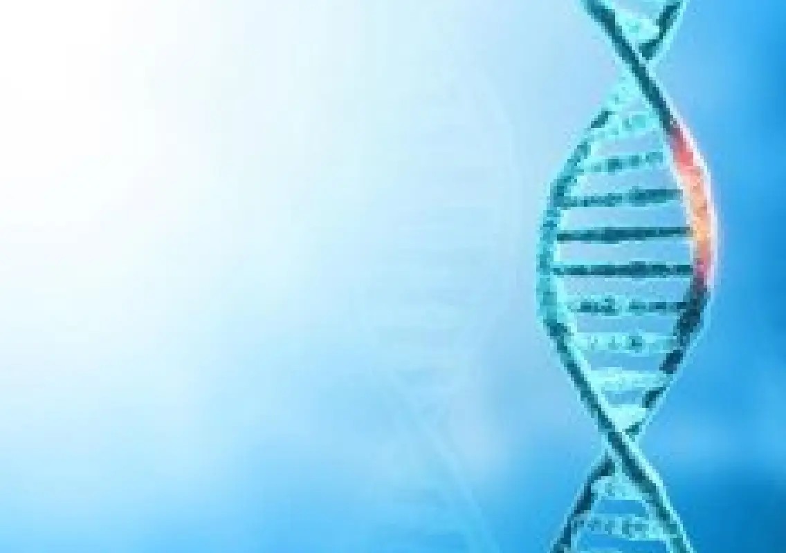 Nature’s gene ‘switch-offs’ reveal new clues about human health - News Karnataka