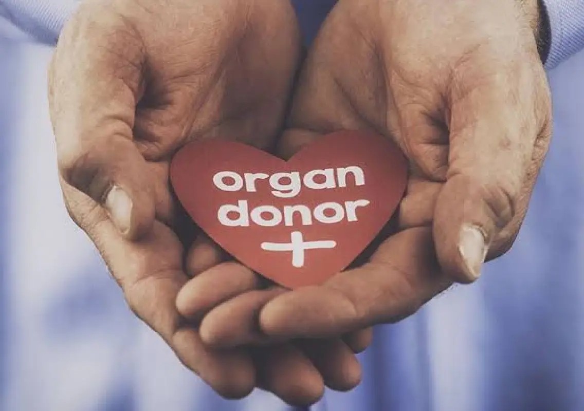 Organ donors honoured for giving others a second chance at life - News Karnataka
