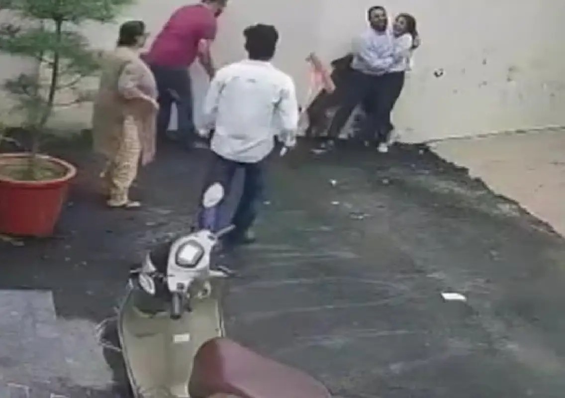 Pitbull attack leaves Patiala couple seriously injured during house visit - News Karnataka